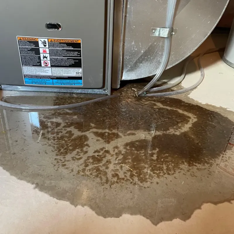 Appliance Leak Cleanup in Chesapeake Beach, MD